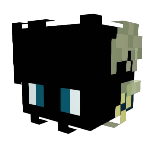 Starhappi Minecraft avatar head, 3D render