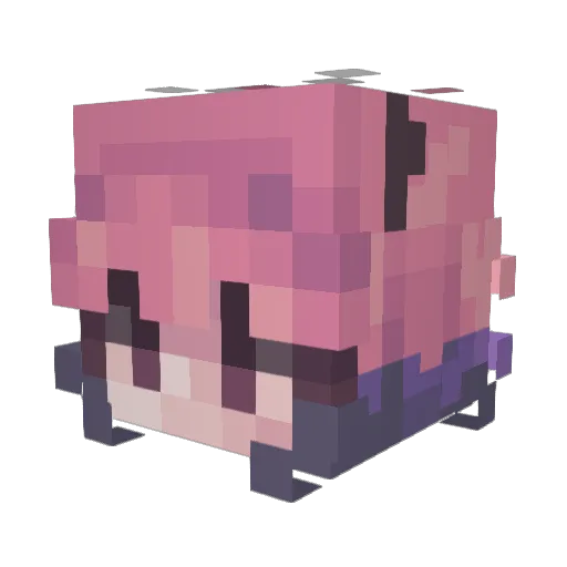 Staricat69 Minecraft avatar head, 3D render