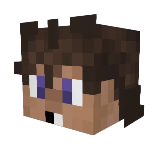StarkMarlin371 Minecraft avatar head, 3D render