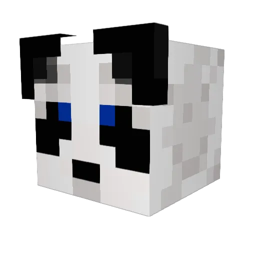 Stark_2058 Minecraft avatar head, 3D render