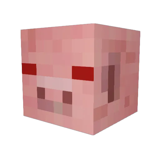 Starkillernoah4 Minecraft avatar head, 3D render