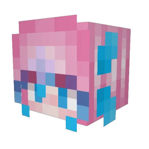 StarlaStine Minecraft avatar head, 3D render