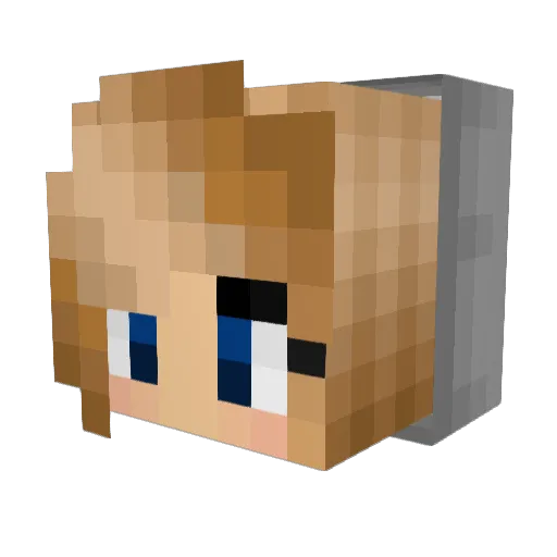 StarlaWolf Minecraft avatar head, 3D render