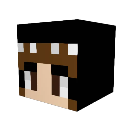 Starlenay24 Minecraft avatar head, 3D render