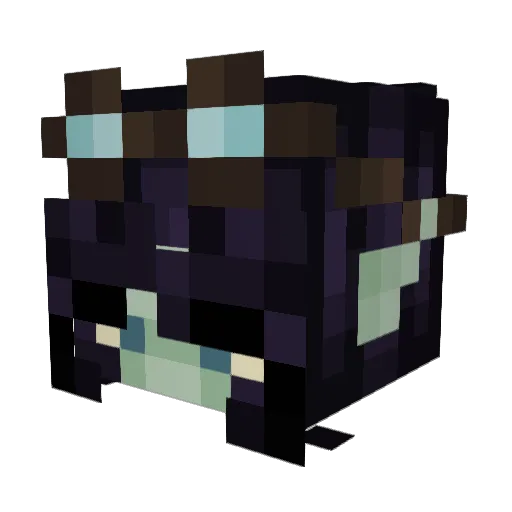 StarlessNite Minecraft avatar head, 3D render