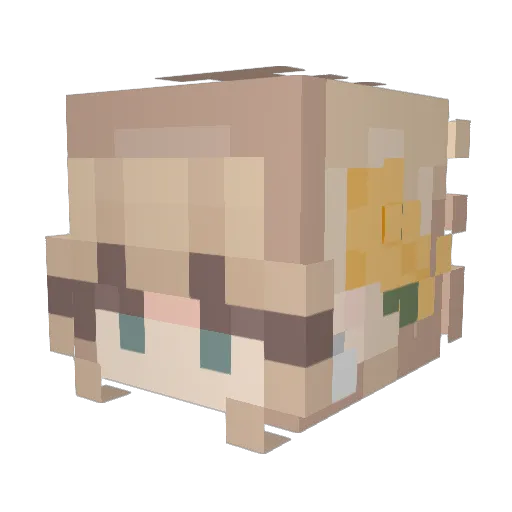StarliStarling Minecraft avatar head, 3D render