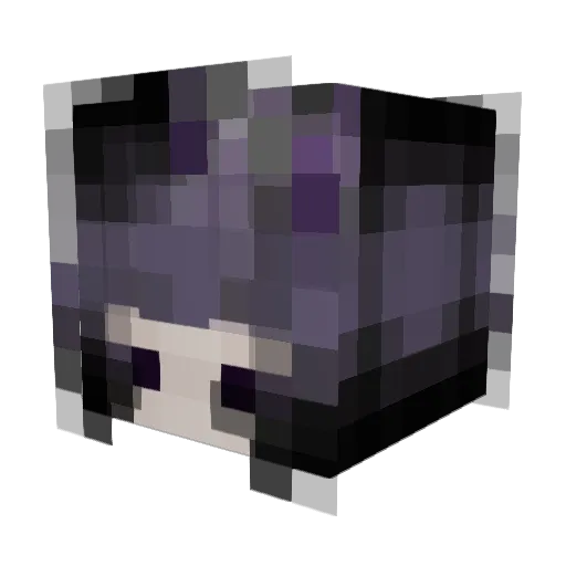 Starlight111888 Minecraft avatar head, 3D render