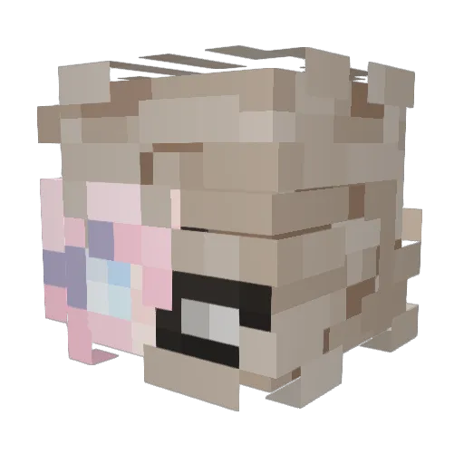 Starlight291 Minecraft avatar head, 3D render