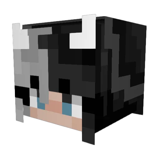 Starlight3022 Minecraft avatar head, 3D render