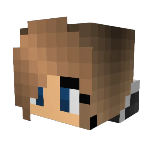 Starlight71 Minecraft avatar head, 3D render