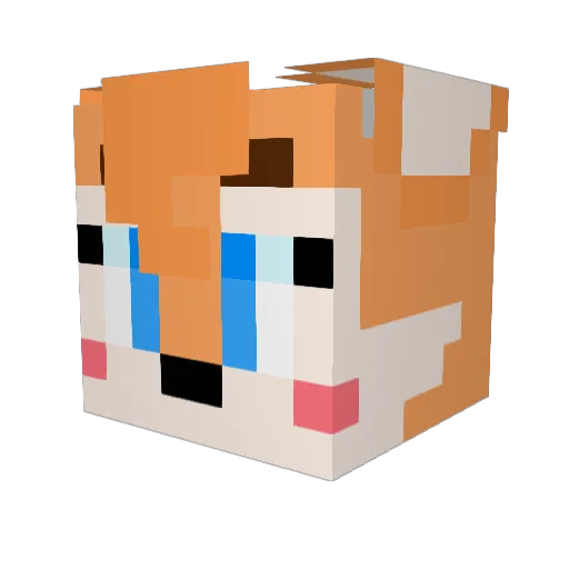 StarlightFox197 Minecraft avatar head, 3D render