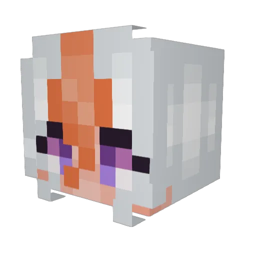 StarlightGames Minecraft avatar head, 3D render