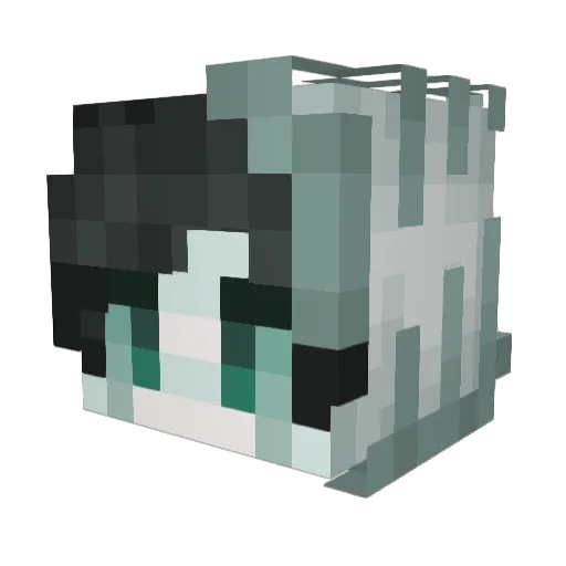 StarlightSolaris Minecraft avatar head, 3D render