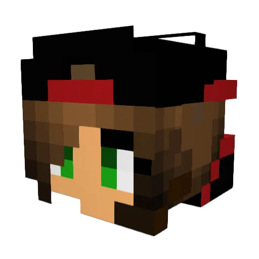 Starlight_119 Minecraft avatar head, 3D render