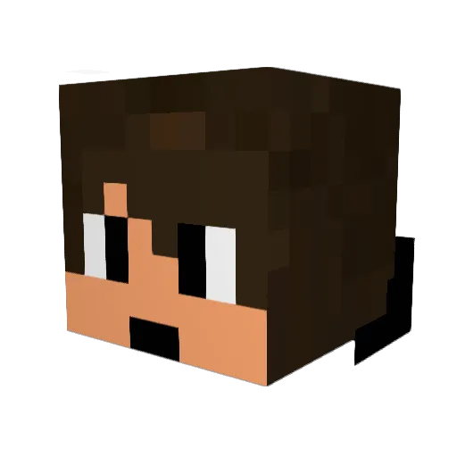 StarlingMaster Minecraft avatar head, 3D render