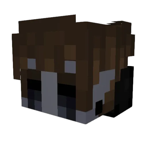 Starlit_Abyss Minecraft avatar head, 3D render