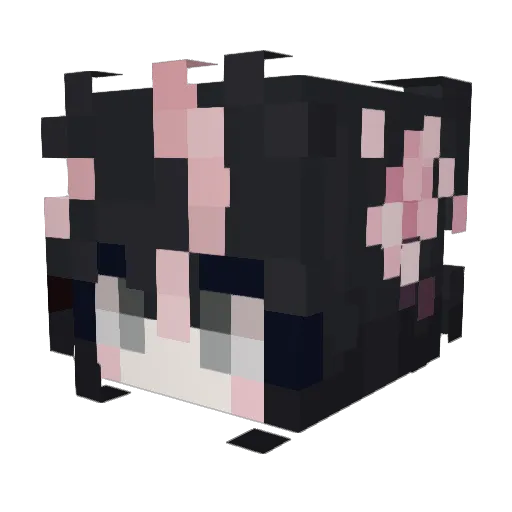 Starlit_Sushi Minecraft avatar head, 3D render