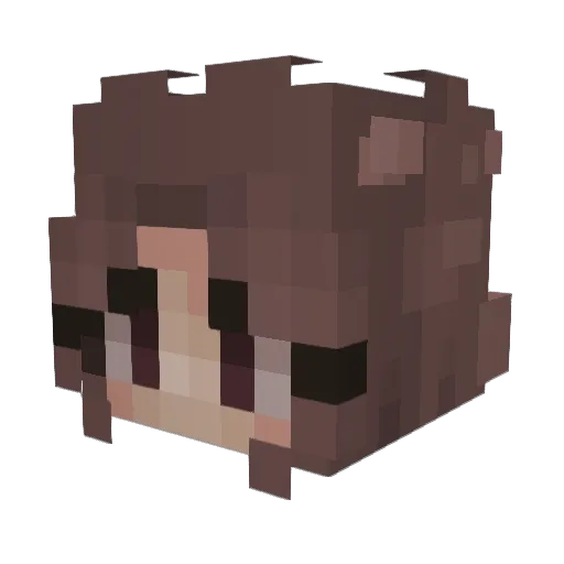 Starloveswomen Minecraft avatar head, 3D render