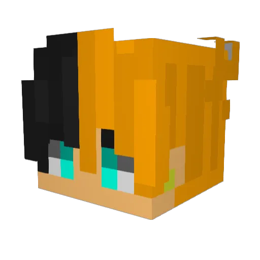 Starmaster163 Minecraft avatar head, 3D render
