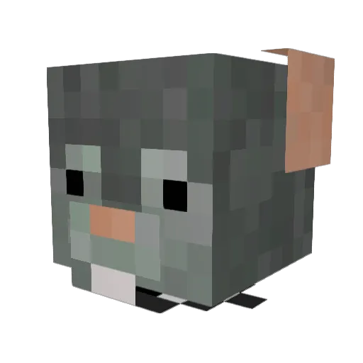 Starninja59 Minecraft avatar head, 3D render