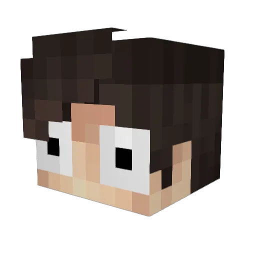 Staros_2016 Minecraft avatar head, 3D render
