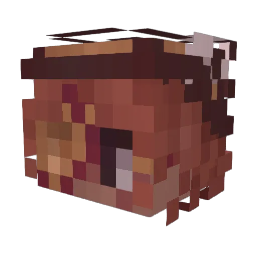 Starp00l Minecraft avatar head, 3D render