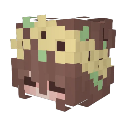 Starpuppy26 Minecraft avatar head, 3D render