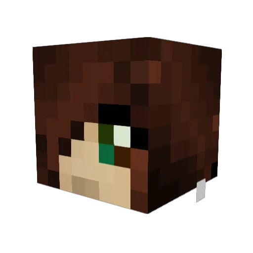 Starr62 Minecraft avatar head, 3D render