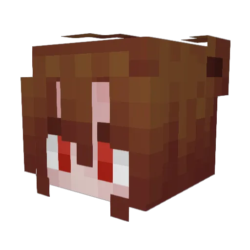 StarrGalaxi Minecraft avatar head, 3D render
