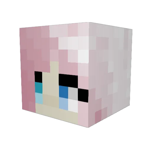 Starrcophagus Minecraft avatar head, 3D render