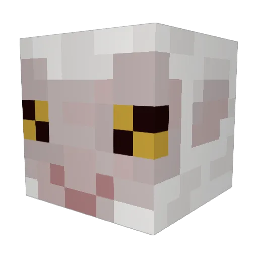 Starrdio Minecraft avatar head, 3D render