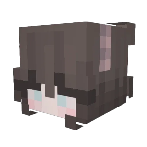 Starrwolf01 Minecraft avatar head, 3D render