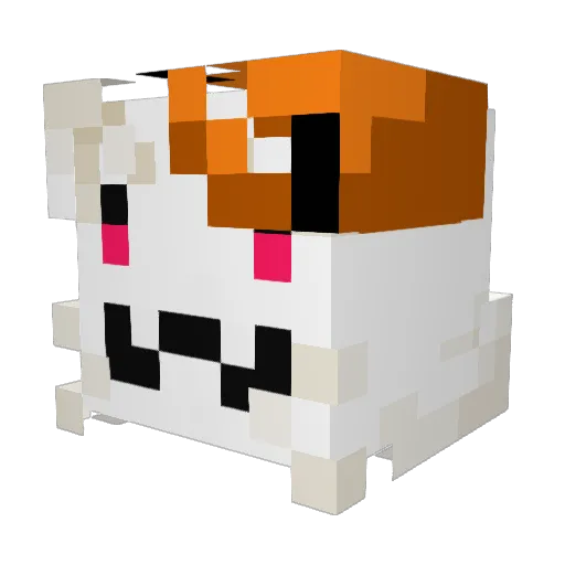 Starry0_ Minecraft avatar head, 3D render