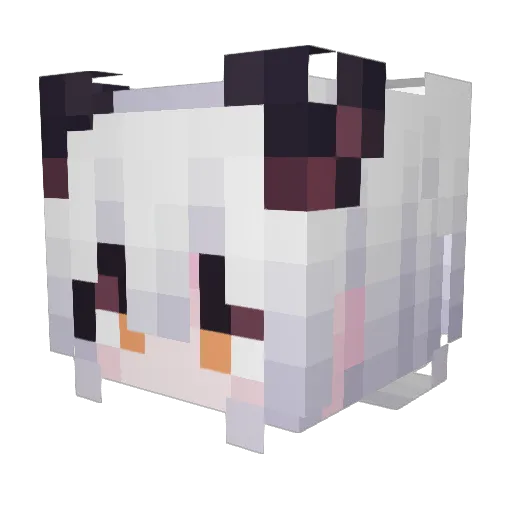 Starry5yeDreamer Minecraft avatar head, 3D render