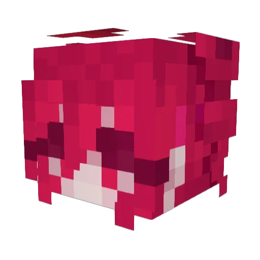 Starry97 Minecraft avatar head, 3D render