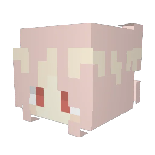 StarryBathrooms Minecraft avatar head, 3D render