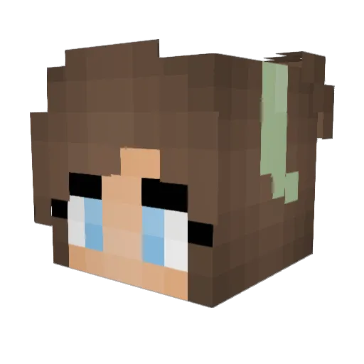 StarryBecky Minecraft avatar head, 3D render