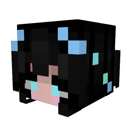 StarryHaunt Minecraft avatar head, 3D render