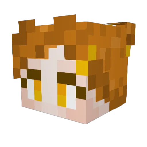StarryKestrel Minecraft avatar head, 3D render