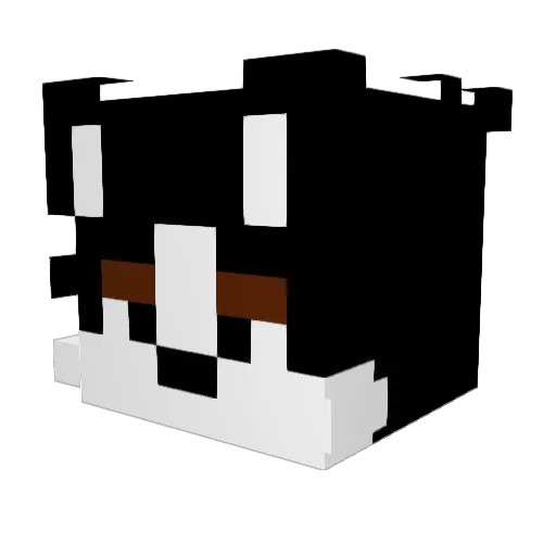 StarryMoon15169 Minecraft avatar head, 3D render