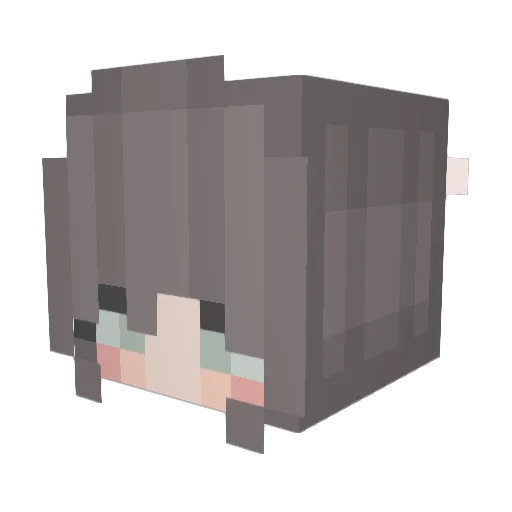 StarrySage_ Minecraft avatar head, 3D render