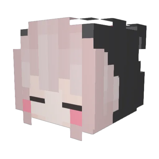 StarrySky77 Minecraft avatar head, 3D render