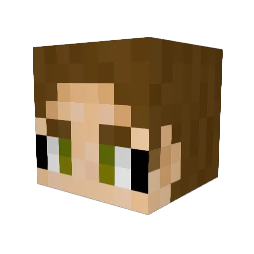StarrySkyGamer Minecraft avatar head, 3D render