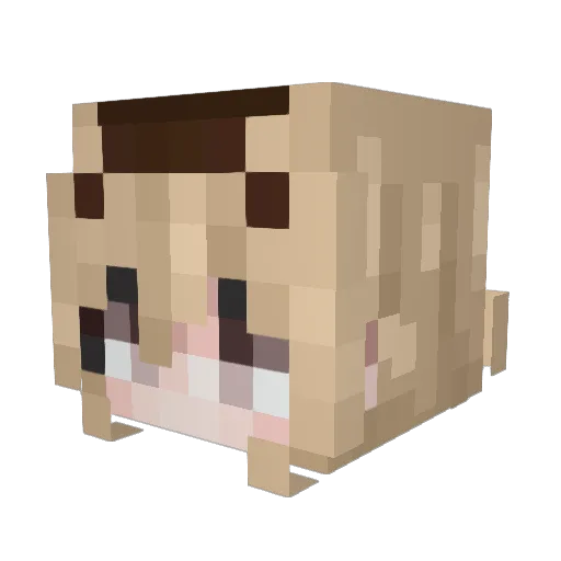 StarryVel Minecraft avatar head, 3D render