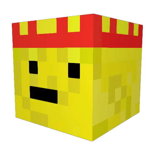 Starry_6778 Minecraft avatar head, 3D render