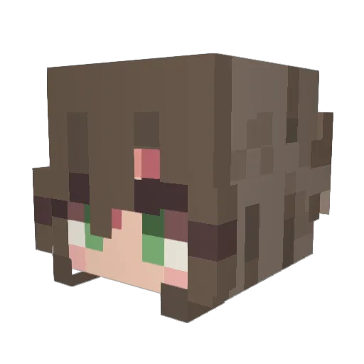Starry_Onyx Minecraft avatar head, 3D render