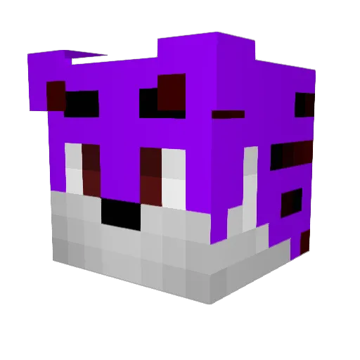 Starrybutt Minecraft avatar head, 3D render