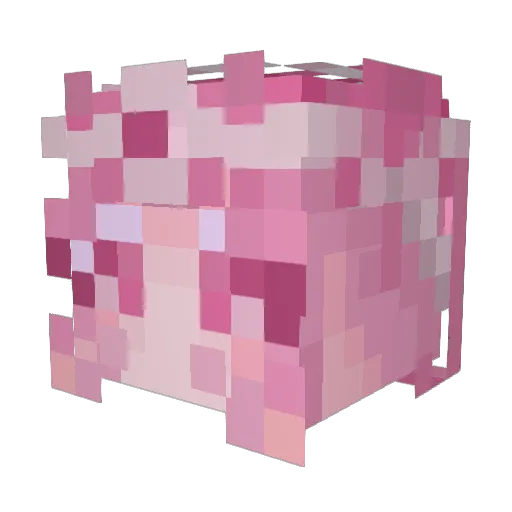 Starryeon Minecraft avatar head, 3D render