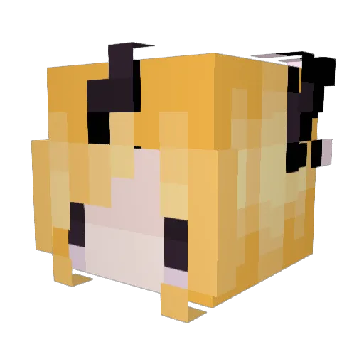 Starrylina Minecraft avatar head, 3D render