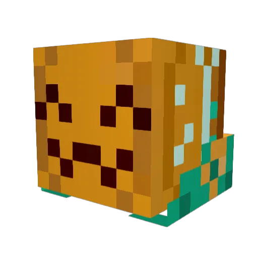 Stars0696 Minecraft avatar head, 3D render